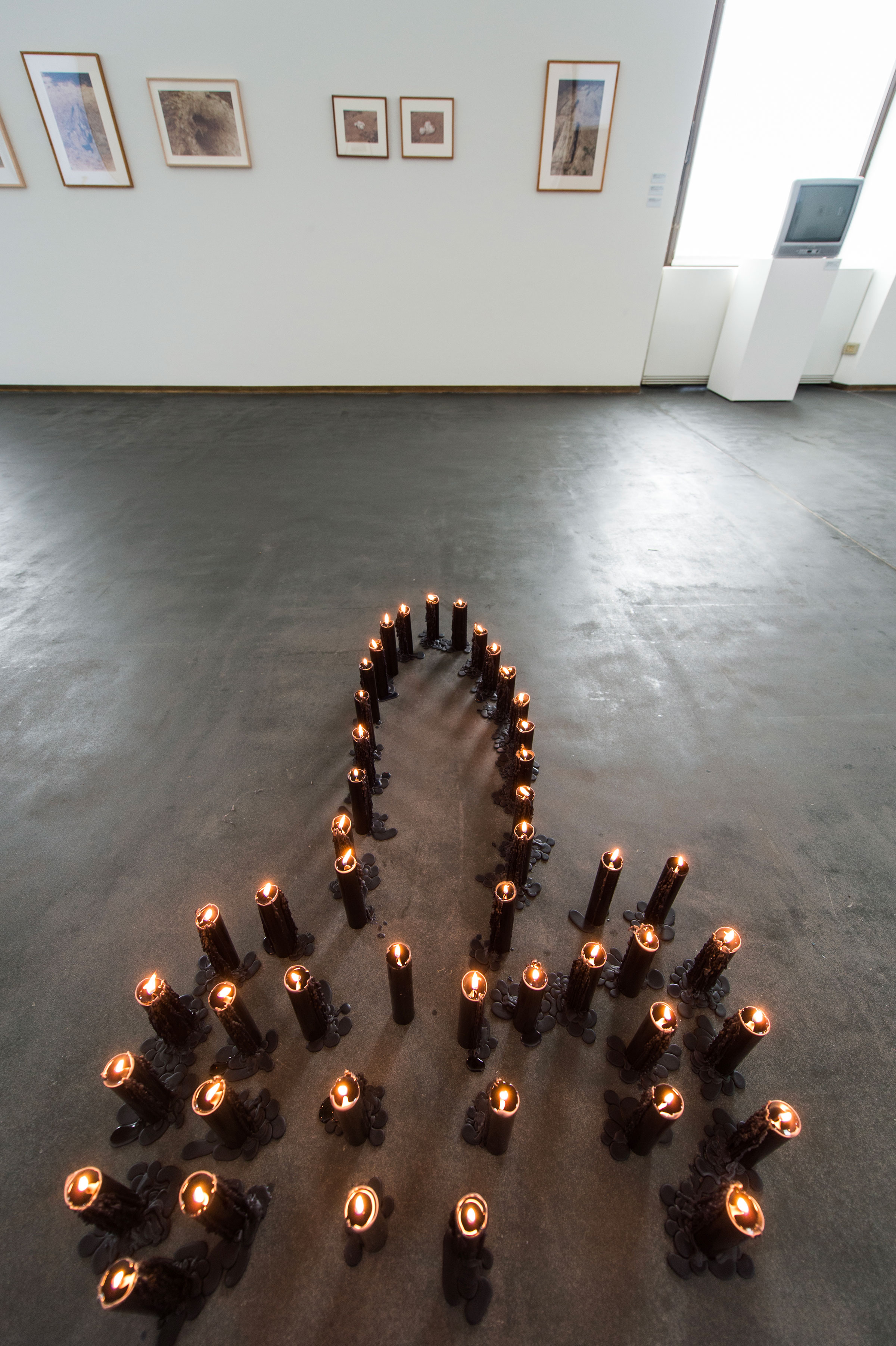 u0022Ana Mendieta. She Got Loveu0022, veduta espositiva